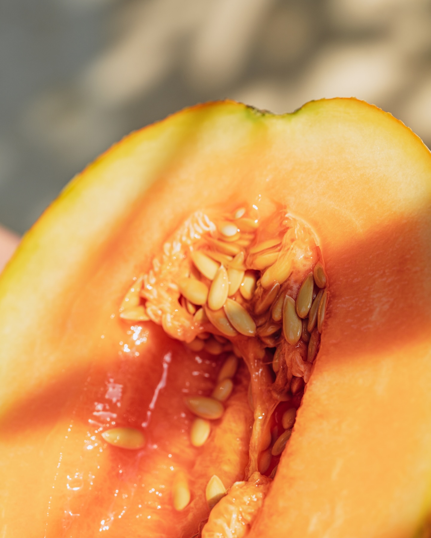 For our palate cleanser: local melon balls, caramel cream, hibiscus gastrique, candied melon rind, umami melon seed powder, fermented prickly pear and melon granita.

To reserve, email us for available dates at bookings@indulgethyself.co

#indulgethyself #palatecleanser #saudimelons #seasonalingredients #zerowastephilosophy moderncuisine chefledexperience