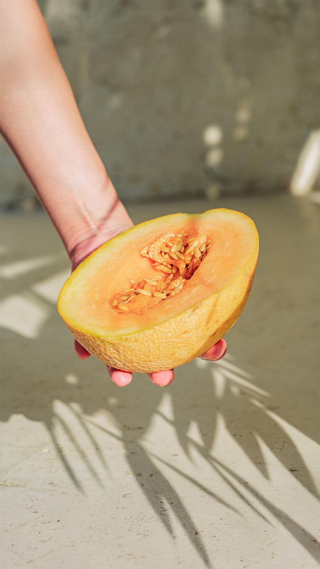 For our palate cleanser: local melon balls, caramel cream, hibiscus gastrique, candied melon rind, umami melon seed powder, fermented prickly pear and melon granita.

To reserve, email us for available dates at bookings@indulgethyself.co

#indulgethyself #palatecleanser #saudimelons #seasonalingredients #zerowastephilosophy moderncuisine chefledexperience